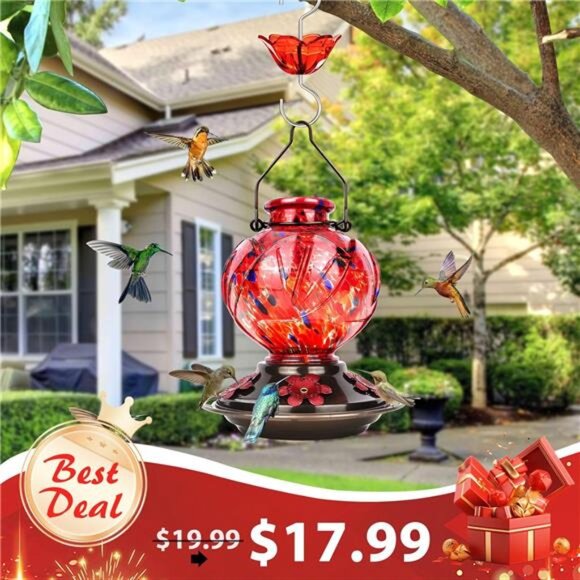 Hummingbird Feeder, Hand Blown Glass Hummingbird Feeders for Outdoors Hanging - Picture 2 of 7
